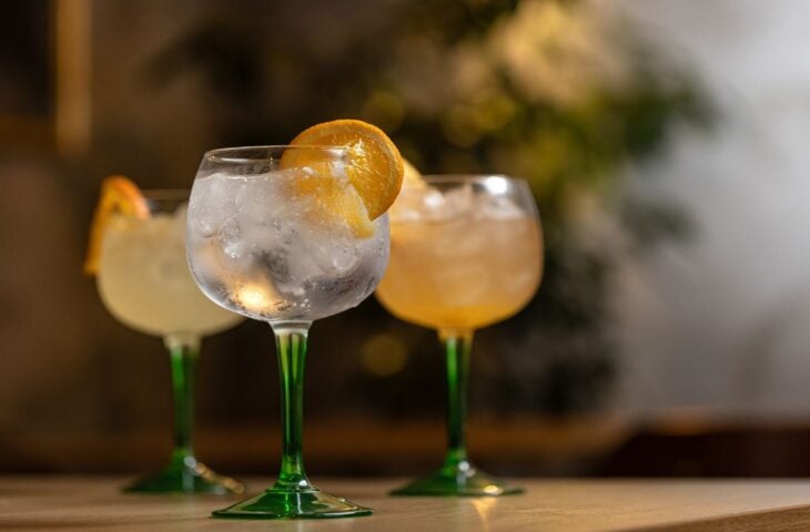 10 melhores gins para comprar em 2025