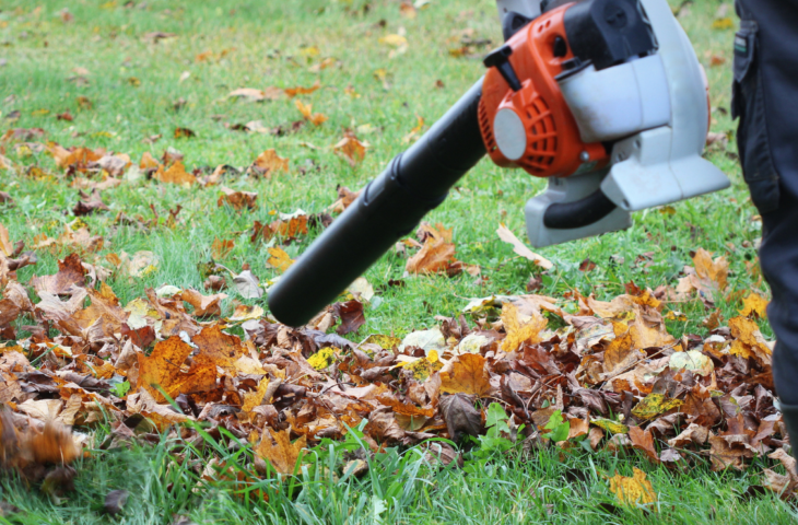 10 melhores sopradores de folhas para comprar em 2026
