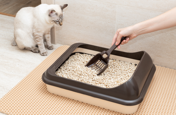 10 melhores banheiros para gato para comprar em 2025