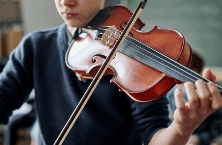 10 melhores violinos para comprar em 2025