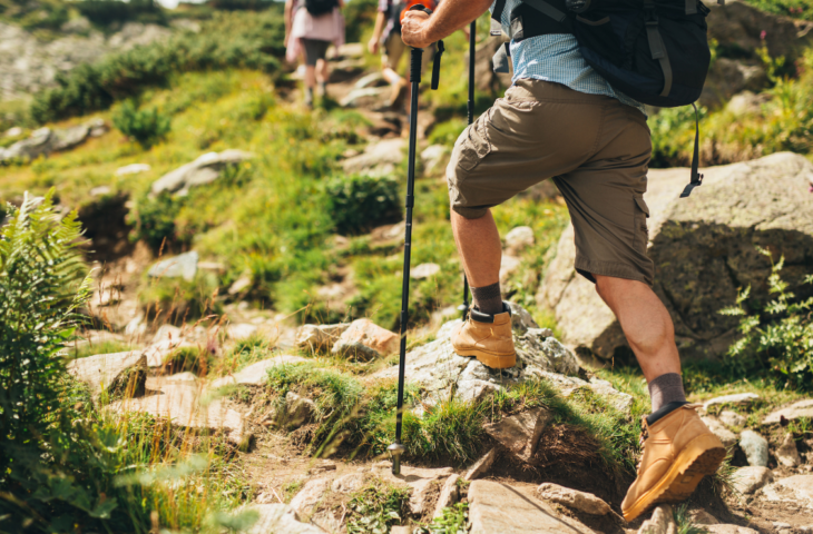 10 melhores bastões de caminhada para comprar em 2026