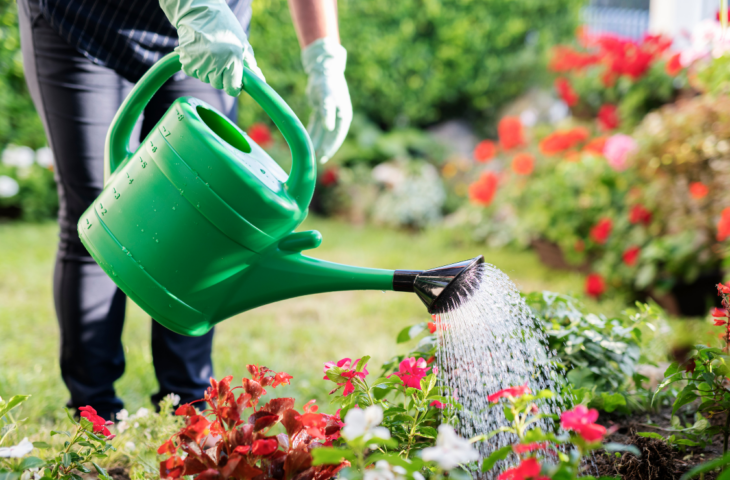10 melhores regadores de plantas para comprar em 2026