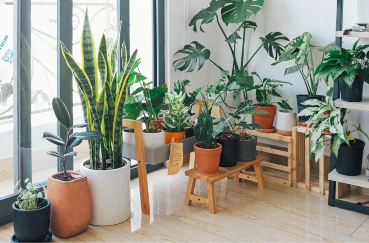 10 melhores vasos de plantas para comprar em 2026