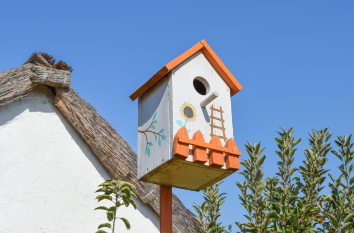 Casa de passarinho: 10 melhores para comprar em 2026