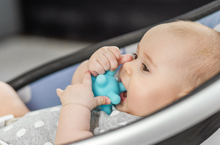 Mordedor de bebê: 10 melhores para comprar em 2026