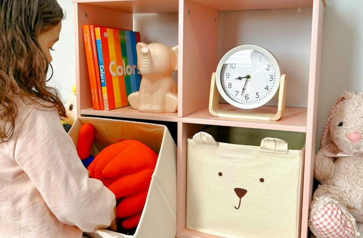 Organizador de brinquedo: 10 melhores para comprar em 2026