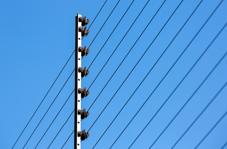Haste de cerca elétrica: 10 melhores para comprar em 2026
