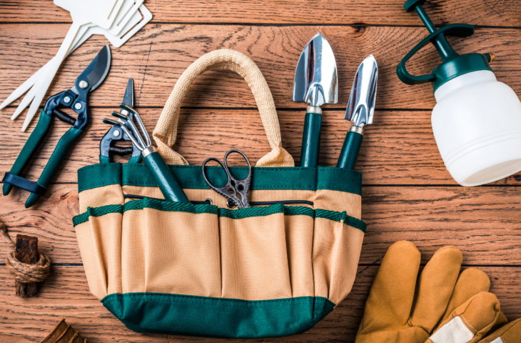 Kit jardinagem: 10 melhores para comprar em 2026